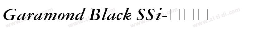 Garamond Black SSi字体转换